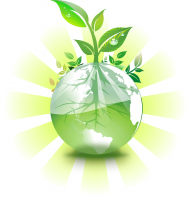 Richiesti più progetti per l'ambiente