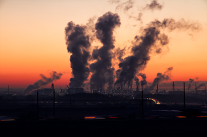 Con la chiusura delle industria approvvigionamenti a rischio