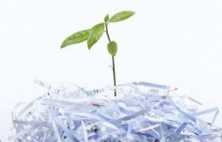 RACCOLTA CARTA IN AUMENTO, SOPRATTUTTO AL SUD